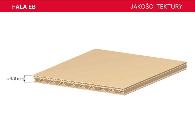 AQUILA tektura falista fala EB